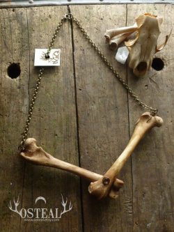 gothiccharmschool:  ostealjewelry:  moonexplosions:  I love jewellery that just oozes with life and its elements,This is incredibly beautiful.  thank you! wow, seriously - thank you.  The bone necklace! I hadn’t seen that piece before! That is a beautiful