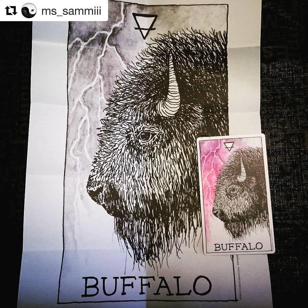 Two Tarot — Practical and grounded Buffalo makes the