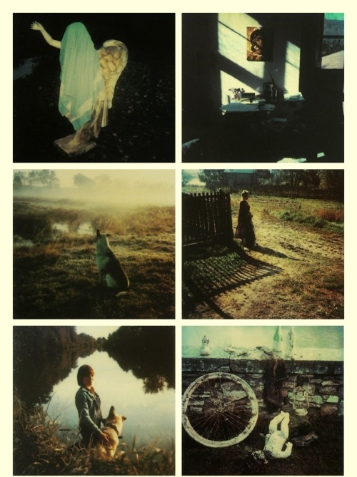 sinemasanati:Andrei Tarkovsky’s Polaroids