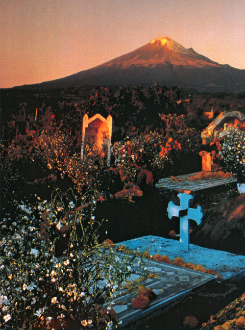 humblewonder:National Geographic October 1984