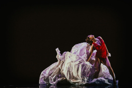 Natasha Adorlee Johnson in The Invention of Wings by Brenda Way &amp; KT Nelson, ODC/Dance, March 20