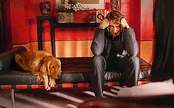 leepacey:make me choose: ned and disguises or ned and baking pies