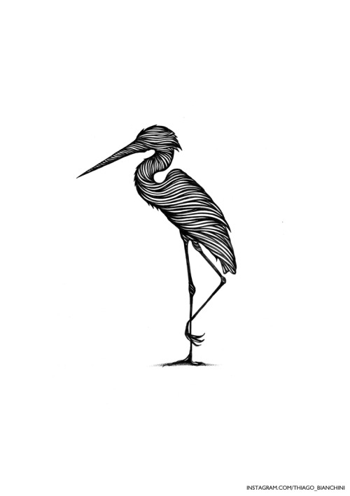  ‘Tiny Heron’, sketch of the day. Instagram: @thiago_bianchini 