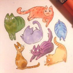 sprezzaturan:  daylight savings time has messed me up and I have been very lazy I have nothing to post except marker cats