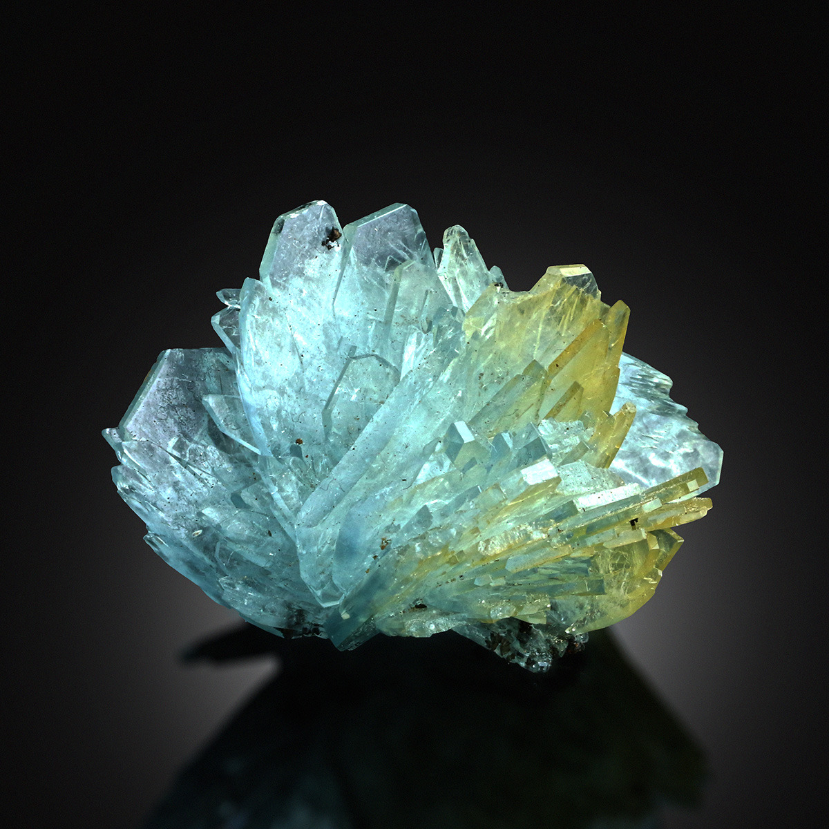 hematitehearts: Baryte Locality: Nador, Oriental Region, Morocco 