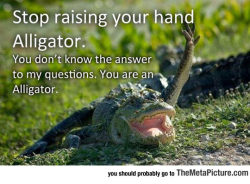 advice-animal:  Stop It Alligatorhttp://advice-animal.tumblr.com/ 