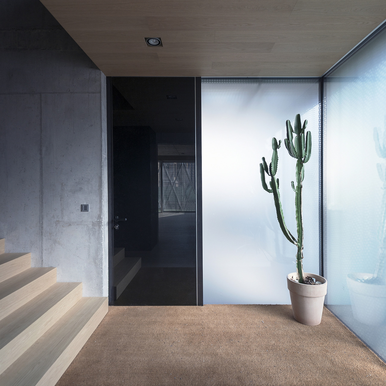 odaro:  villa criss-cross envelope / OFIS architects