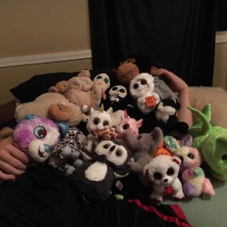 daddyandhisbbg:  Daddy took a picture with all the stuffies! (This isn’t actually all of them, just the ones that sleep in the bed with us ☺️)