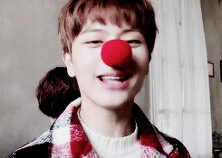 COUGAR NOONA