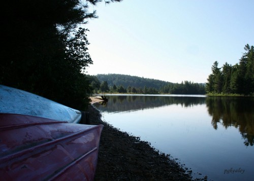 Canoes by the lake. Felt strange not having my canoe but it was too ‘sick’ to make the t