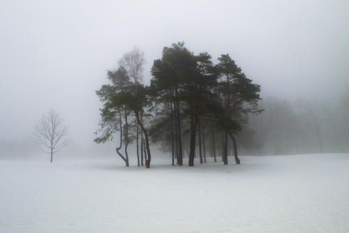 just-breezy:  Snow Fog by ~EvidencE~  adult photos