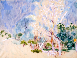 bofransson:  Landscape of Cannet, White Trees