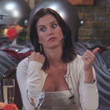 towallthefriendsepisodes:  Crazy Monica S01-S10 