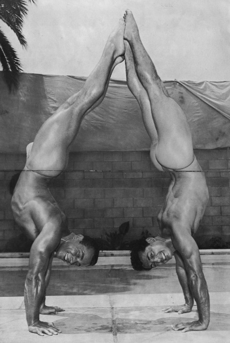 howdoyoulikethemeggrolls:  Give me an “A!”… in fact: give me two! (they’re little A’s) 