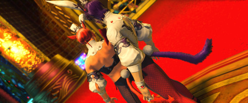 vistaeorzea