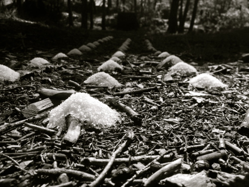 7knotwind: salted earthstudy for a site specific, temporary installation at 1/12 scaletest 1 / site 