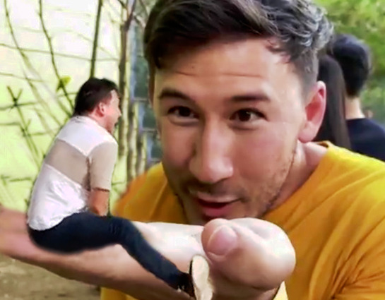 lady-raziel:  Nature Tip #420: If you come across a Markiplier in the wild, you must