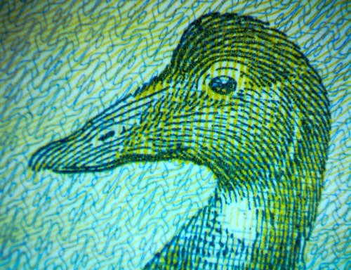 The Art of Money: 10 Krone, Denmark