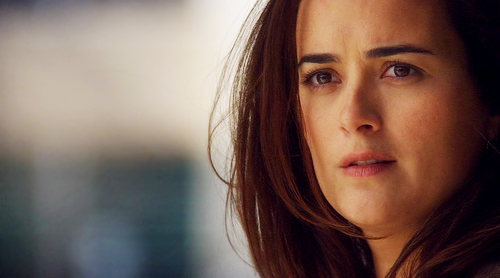 My Ziva&hellip; she beith stunning