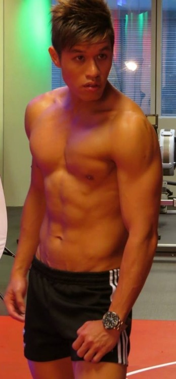 stayinghard:  asianmusclefetish:  Original post: http://asianmusclefetish.tumblr.com   Say that again?