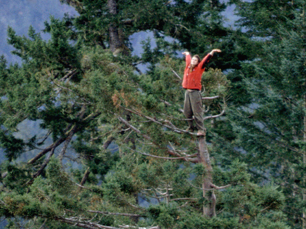 ojala-que:  lonelynomads:  eulen:  Julia Butterfly Hill lived in a 180-foot (55 m)-tall,