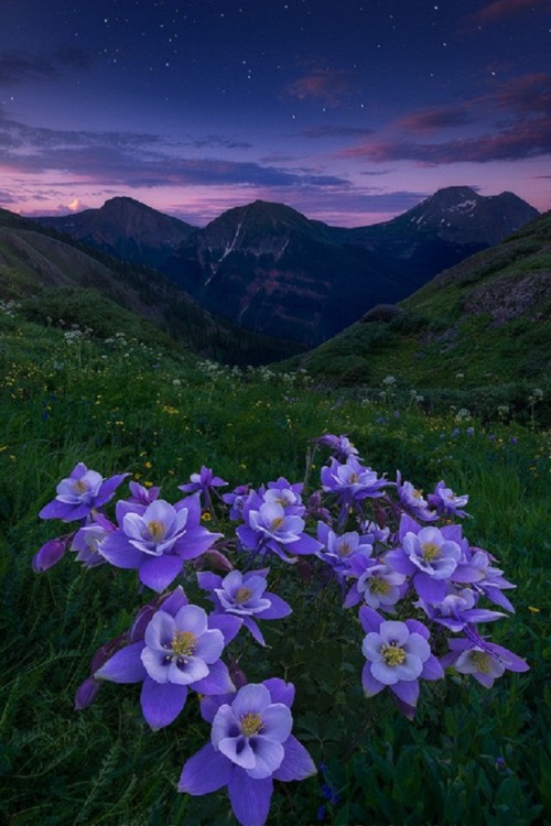 sublim-ature:  San Juan Mountains, ColoradoKoveh Tavakkol 