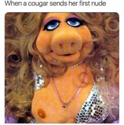 fatgyrlfresh:  Haaaaa! I don’t do shit like this… Every cougar knows to show them both! 😂 #CougarLife #Cougar #Milf #FriendlyNeighborhoodMilf #HeyThereYoungMan