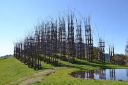 jedavu:  Vegetal Cathedral in Italy Italian