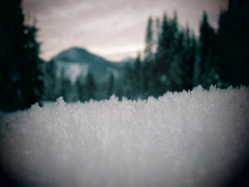 a snowy day in the woods… || Gold Creek Trail, WA