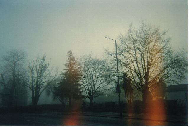 almostlikeadream:  foggy morning. by rosalinenancy on Flickr. 