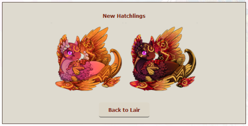 Two gorgeous PURE GEN 2 coatl babies are looking for new homes!Born of the two warriors, Ruby and Fl