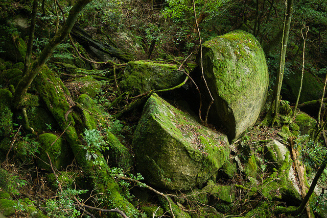 90377:  Split rock by Ippei &amp; Janine Naoi on Flickr.