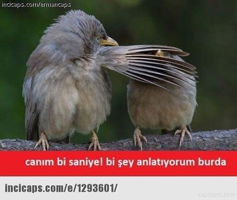 Canım bi saniye bişey...