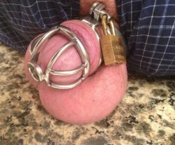 lockedndenied:  hackedyourblogbitch:  Before he leaves town on that business trip… LOCK IT THE FUCK UP!!  Gorgeous little locked cocklette.