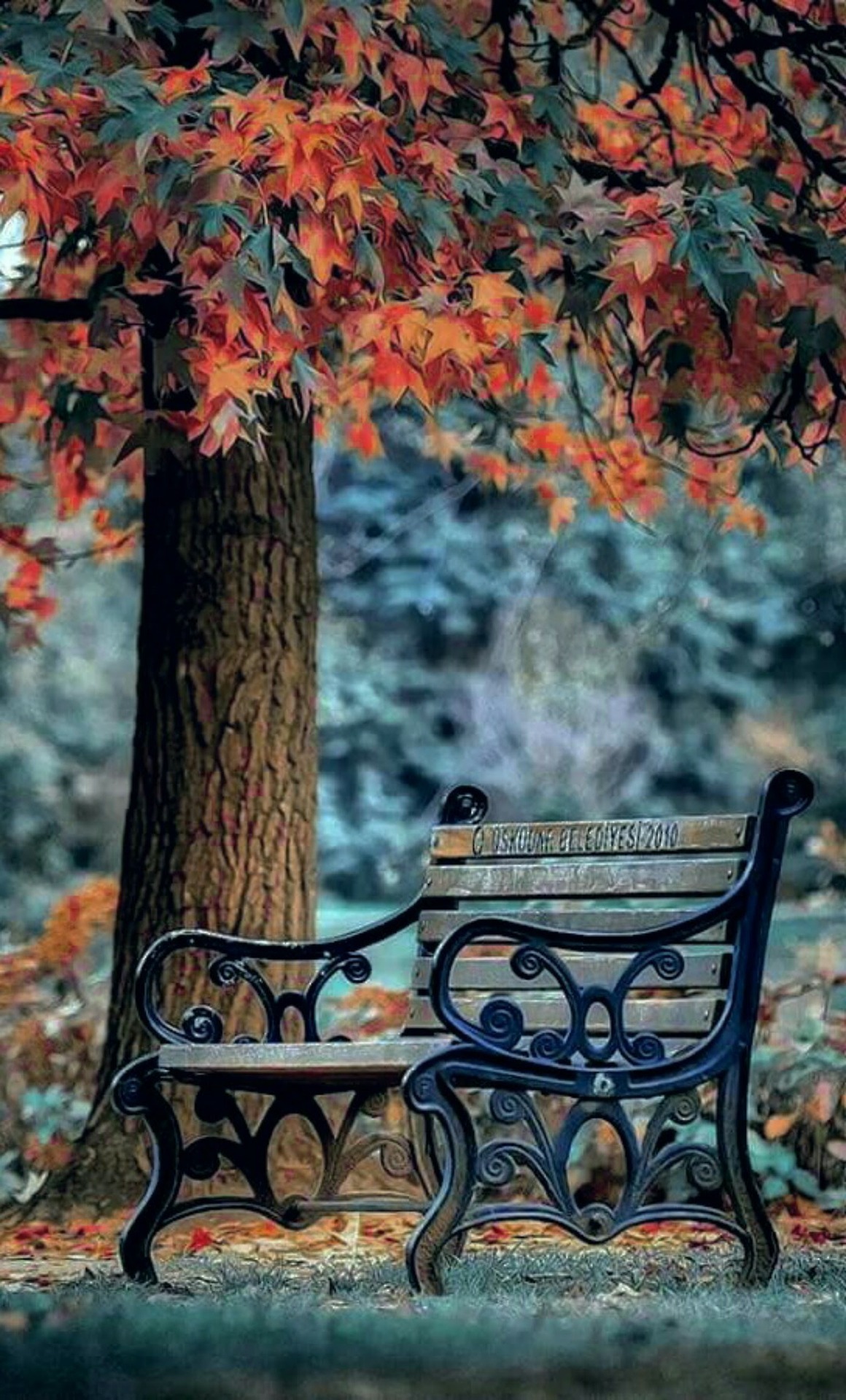 empoweredinnocence:  scarlets-musings:Love the colours of autumnal days…🍁🍂
