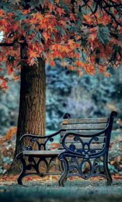 empoweredinnocence:  scarlets-musings:Love the colours of autumnal days…🍁🍂  @nodelicatesensibilities I wonder what Boston Commons looks like in the Fall?  @empoweredinnocence hmmm I think I know a way to find out. 