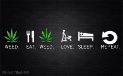 danishweedguy:  Weed, eat, weed, love, sleep,