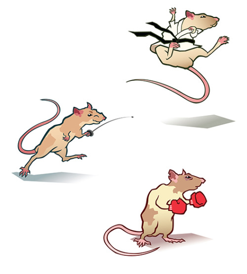 Spot Illustrations featuring sporty rats!