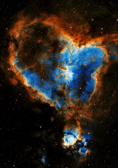 spacewonder19:  IC1805, Heart Nebula porn pictures