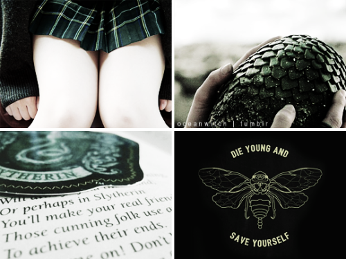 oceanwitch:     HOGWARTS HOUSES ✯ SLYTHERINOr perhaps in Slytherin You’ll make your real friends, Th