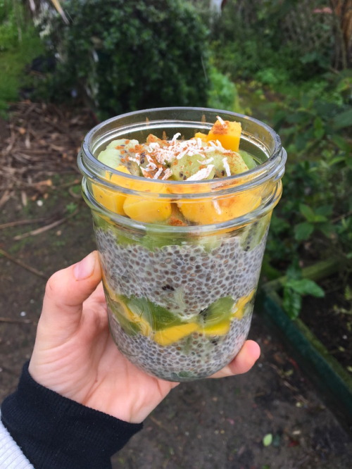 vanilla chia pudding (chia, almond milk, vanilla, cinnamon) w mango, kiwi, coconut flakes &amp; 