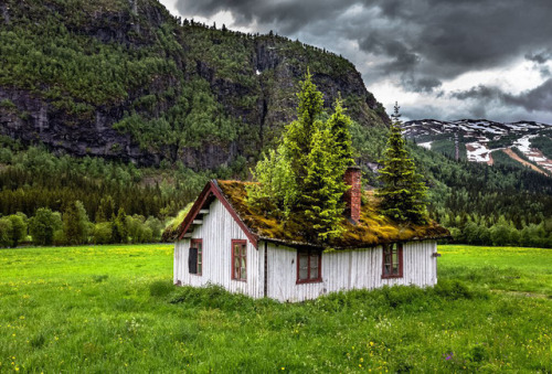 blazepress:Abandoned in Norway.
