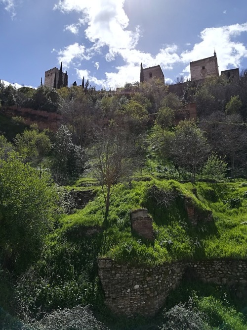 kimaroundtheworld:Granada - Spain