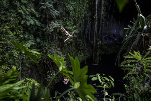 Cenotes are massivesinkholes formed when a cave&rsquo;s ceiling collapses underwater, creatinga netw