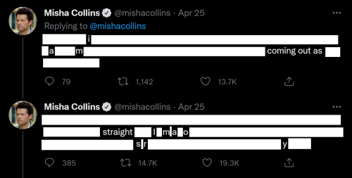 why (2022) - m*sha c*llins via twitter“i am coming out as straight lmao sry” (a summary of the past 