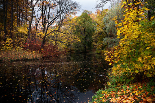 allthingseurope:Yelagin Island, Saint Petersburg (by Maxim Malevich)