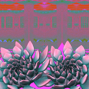 thecurrentseala:  These Succulents are Glitchin’ An Animated GIF by The Current Sea 