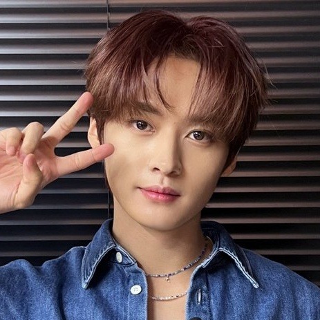Stray Kids Matching Icons/metadinhas.