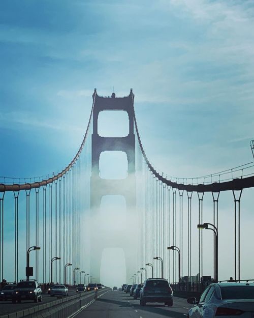 @golden_gate_bridge @sfgate  (at Golden Gate Bridge North Vista Point) https://www.instagram.com/p/B5CPcPHgv2_/?igshid=1r7apvuw2to9z