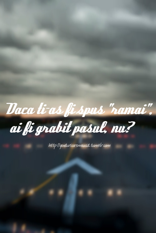 Dimineață de august